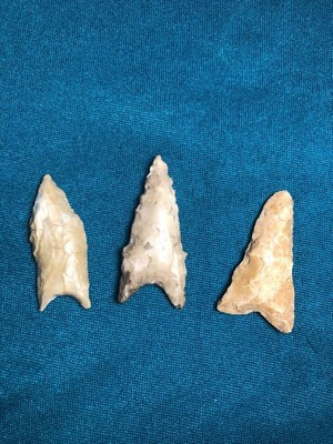 *3 Daltons* Ark: Frame Builders Crowleys Modern Arrowhead Dart Point