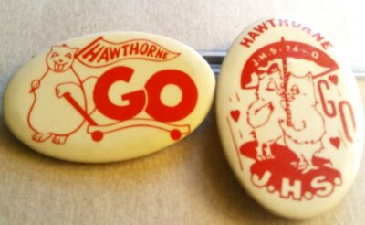 LOT of THREE Vintage QUEENS NY Junior High School Intermediate School Pins 1960s