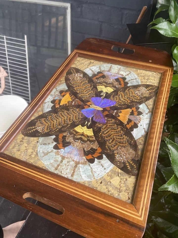 ANTIGA bandeja de servir 1920’s Art Deco prato serviço coquetéis taxidermia X1 - Imagem 2 de 4