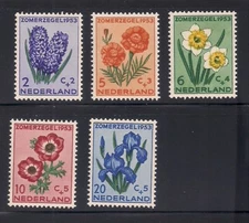 Netherlands  1953  Sc # B249-53  Flowers  MNH  (42425)