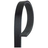 Gates 5PK923 Keilrippenriemen