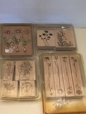 Flowers Rubber Stamps Sets 4 New Stampin Up Scrapbooking Crafts