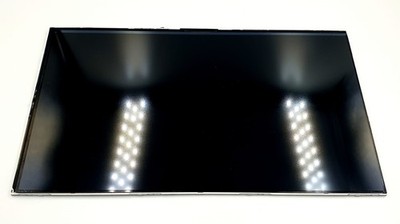 LCD Bildschirm Archos 101C Copper AC101CCV S1116-101H21-24S XYX-101H21