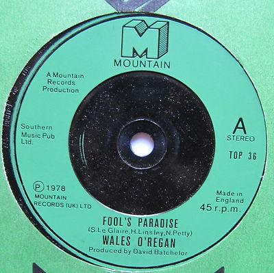 WALES O'REGAN - Fool's Paradise - Excellent Condition 7'' Single Mountain TOP 36