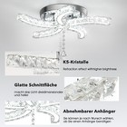 Bild 6 von 14