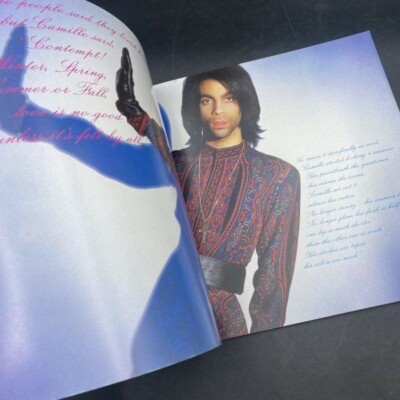 Prince Single 7Inch Import 全24枚セット Prince Single 7Inch Import 全24枚セット