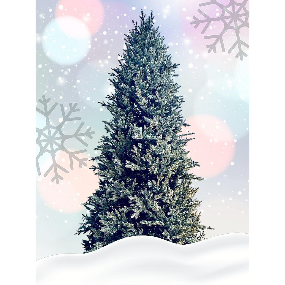 Costco Artificial Christmas Tree 9' Prelit Radiant Micro LED Dual