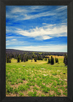 Cedar Breaks Monument Framed Wall Art Poster Canvas Print Picture