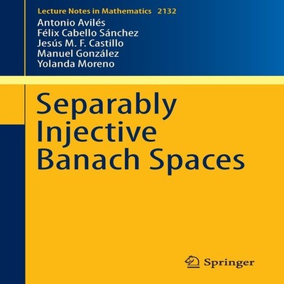 Separably Injective Banach Spaces Springer Nature B.V. Paperback