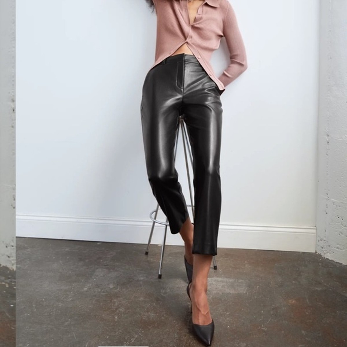 Aritzia Babaton command leather pants