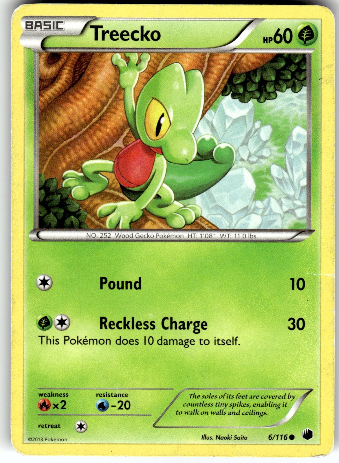 Treecko Plasma Freeze 6/116 2013