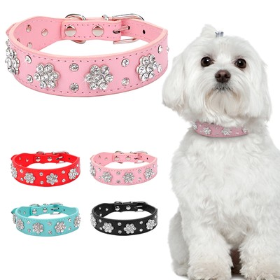 cute small dog collars