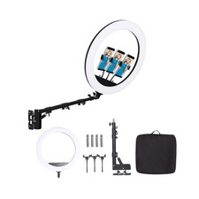 25 '' Ring Light Wall Mount with Phone Holder, Rotatable Triangle Boom Arm Ov...
