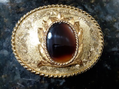 Polished Stone Raintree Western Belt Buckle 1978 Country Western GoldenBrass VTG