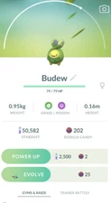 Pokemon Rare Hatch Baby Budew Safe And Fast