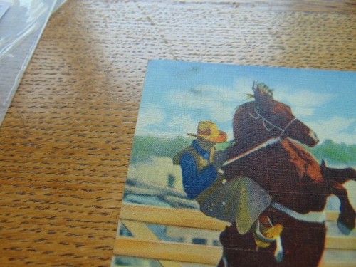 2 Rodeo post cards- Lloyd Meyers on Big Enough & Dudes Taught Here - Picture 4 of 7