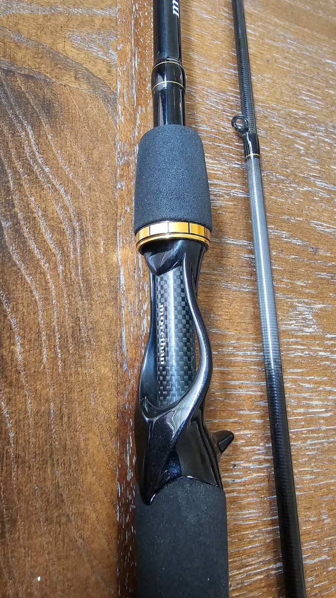 Daiwa Morethan AGS 97MLB | eBay