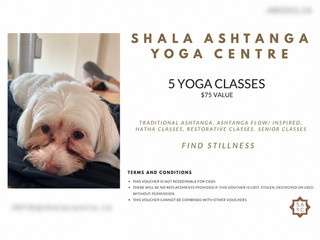 Shala Ashtanga Yoga Centre | 5 Yoga Classes | Edmonton | $75 Value