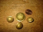 4 RARE REAL Civil War New Hampshire Volunteer Militia Button by Scovill Mfg. Co.