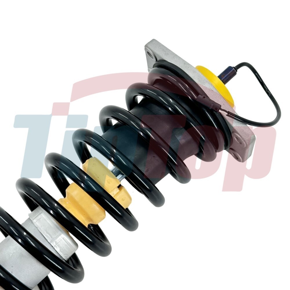 2X Rear Shock Struts Assys For Maserati Quattroporte M139 Sport Gt 06-13 226149
