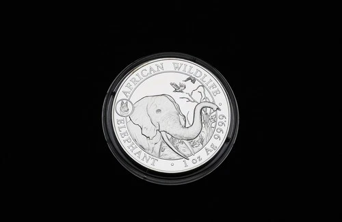 2018 Somalia Silver Elephant 1 oz — photo from the most recent tracked eBay sale