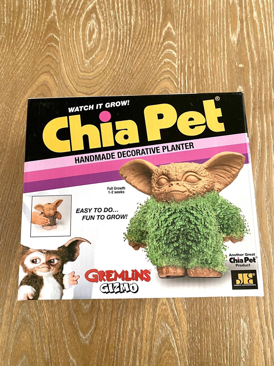 レア❗️新品未使用 GIZMO X Quality Life / Chacmool レア❗️新品未使用 GIZMO X Quality Life / Chacmool 【公式通販】