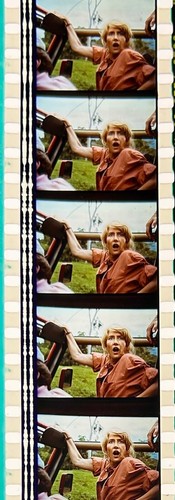 Jurassic Park 1993 Very Rare Unmounted 35mm Film Cells - Steven Spielberg - Picture 77 of 142