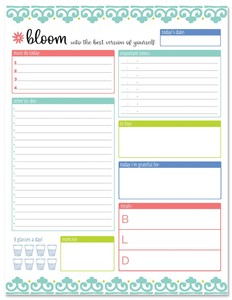 Bloom Daily Planners Planning System Tear Off To Do Pad - Teal Daily Planner To Do Pad New 8.5" X 11" Size (850581006454)