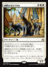 FOIL Regal Caracal - JAPANESE - AKH Amonkhet - MTG Magic NM