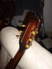 Picture 8 of 24