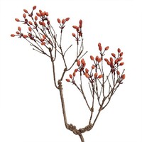 Clayre & Eef 5PL0204 Dekorationszweig Braun-Orange 30X4X85 Cm