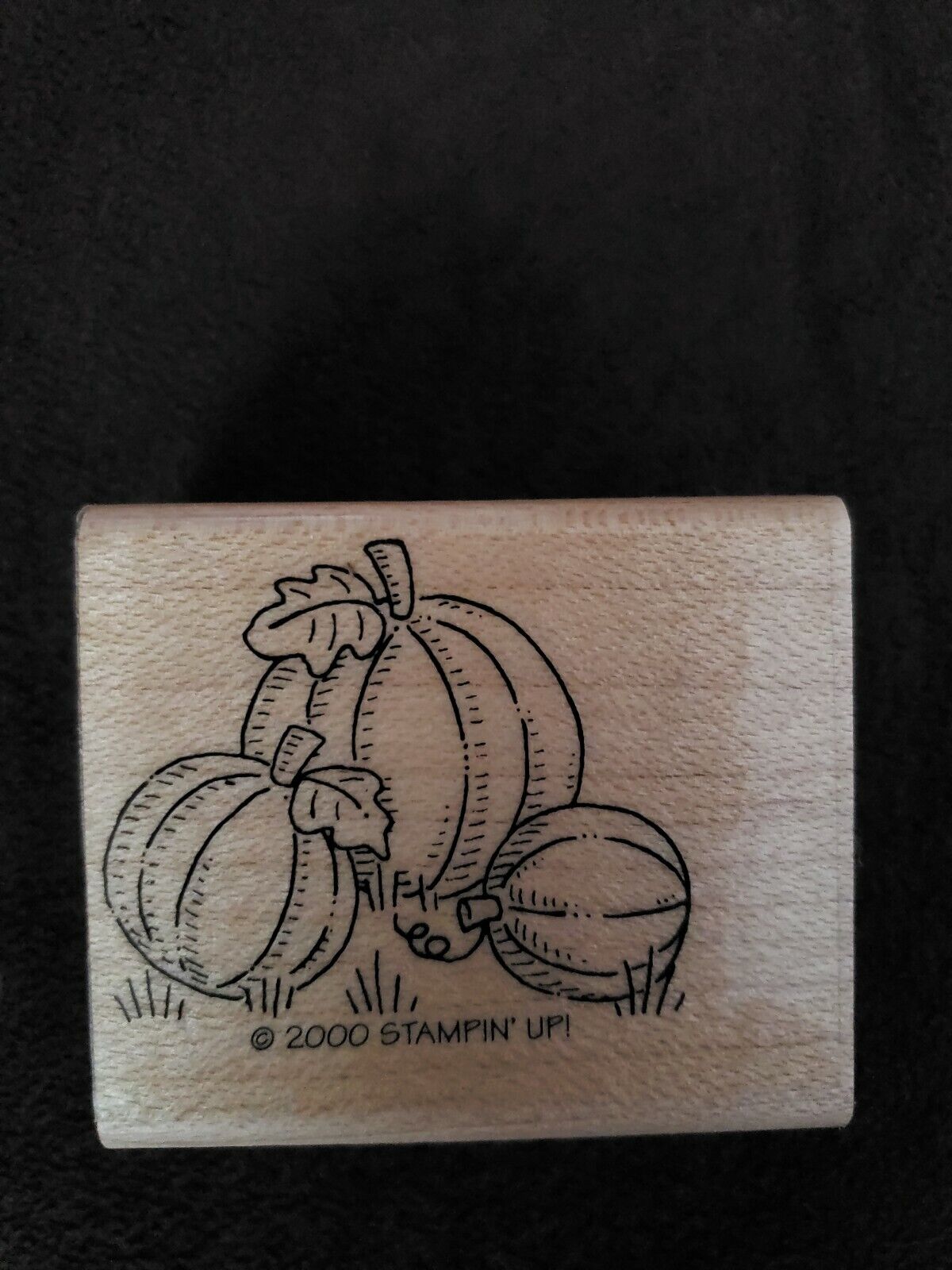 Stampin Up Pumpkins 2000