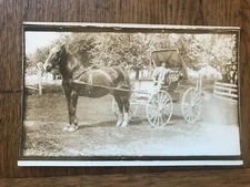 Man in Horse Drawn Carriage RPPC Postcard