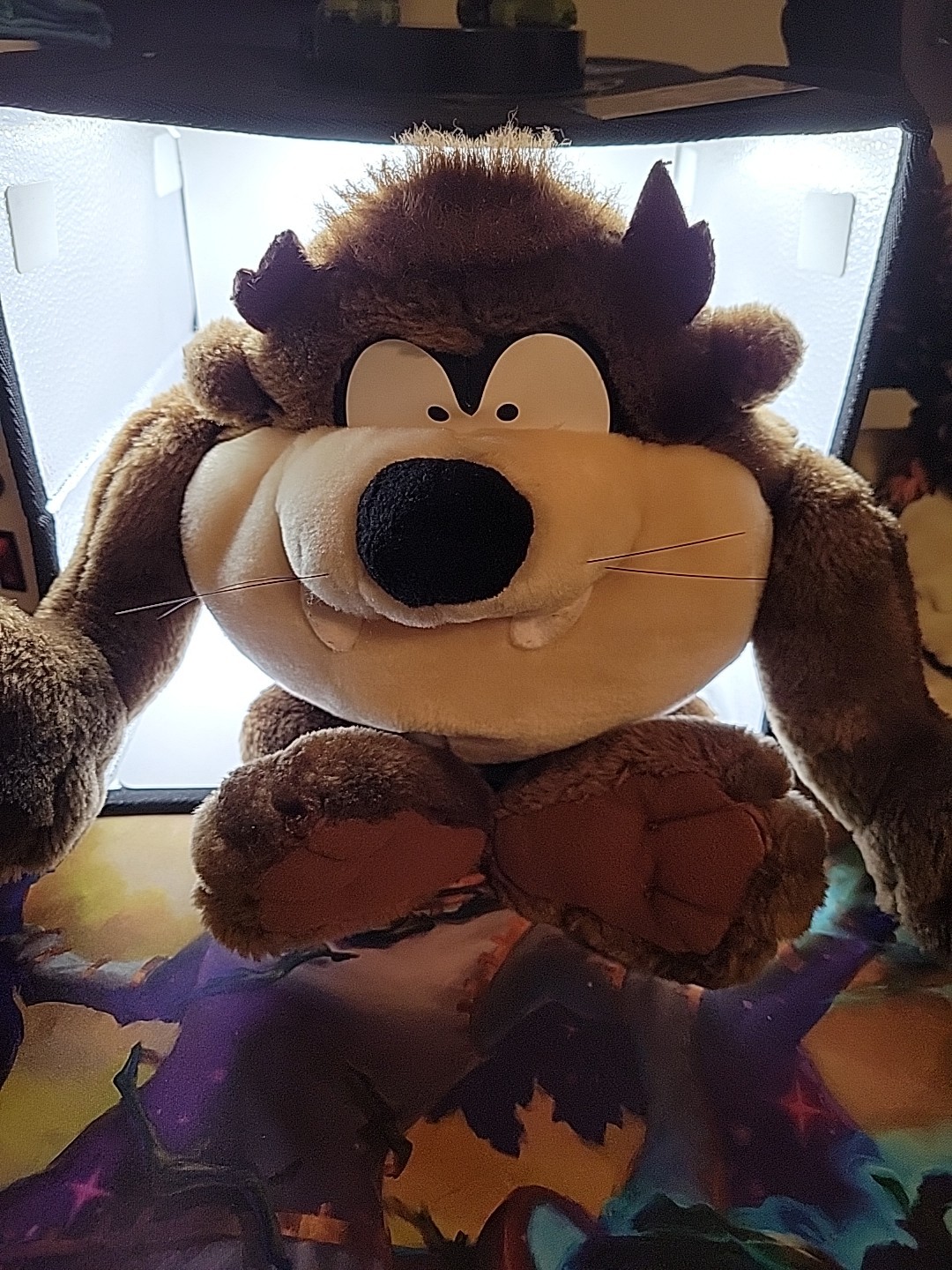 Picture 1 of 6