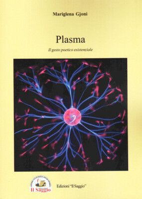 Plasma. Die existenzielle poetische Geste - 2024 - Verlag Der Weise