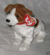 TY Beanie Babies KIPPY the dog free shipping