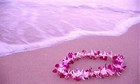 Bild 6 von 10