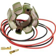 Ricks Motorsport Electric - 21-811 - Stator