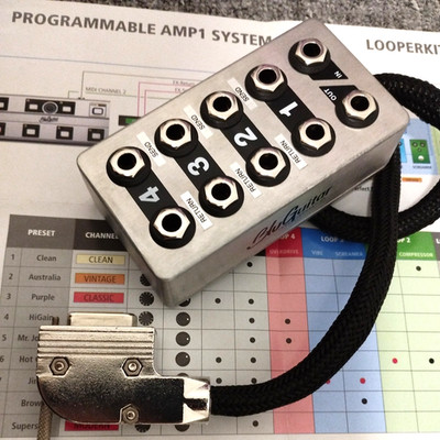 BluGuitar  LOOPER