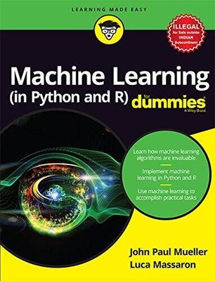 Machine Learning (in Python and R) for Dummies - Paperback - ACCEPTABLE
