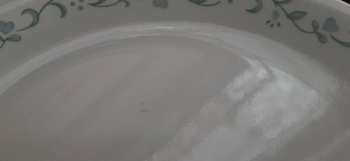 Set Of 4 Corelle COUNTRY COTTAGE 10 1/4" Dinner Plates Blue Hearts Vines - Picture 4 of 4