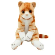 Slouchy Zoo Mini Plush keychain Cat Stuffed American Shorthair  Japan 5.7 in NEW