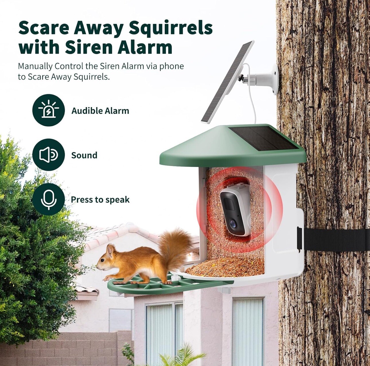 Bird Feeder with Camera with AI Identify Bird Species Solar Panel, Smart Bird -