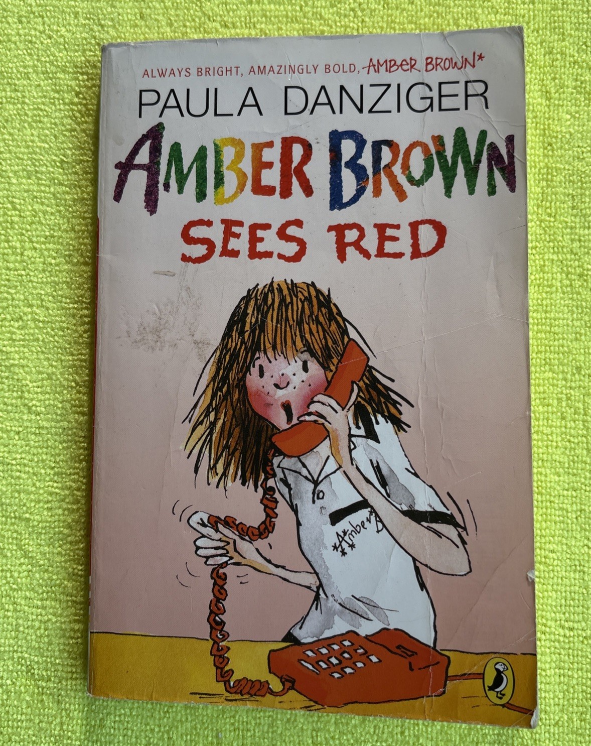 Amber Brown Sees Red by Paula Danziger (2009, Paperback), FAST SHIPPING!