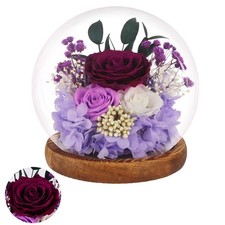 RuiAley Preserved Flowers in Glass Dome Eternal Rose Gift for Women, Valentin...