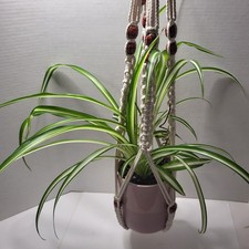 Macrame Plant Hanger with Wood Painted Beads White Material 35"