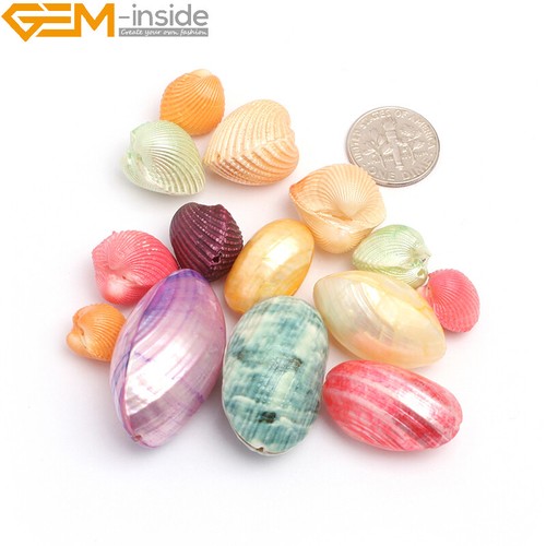 Freeform Multi-color Shell Bead For Jewelry Pandent Making 12pcs Dyed ...