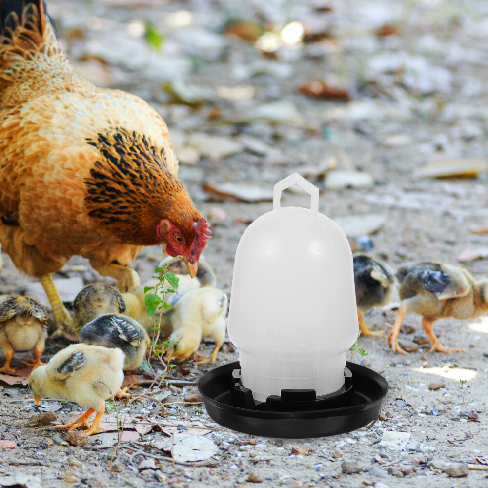 Tractor Supply Chicken Feeders Poultry Feeders \u0026 Waterers At Tractor Supply  Co Poultry Feeders For Sale, image size:1000x1000