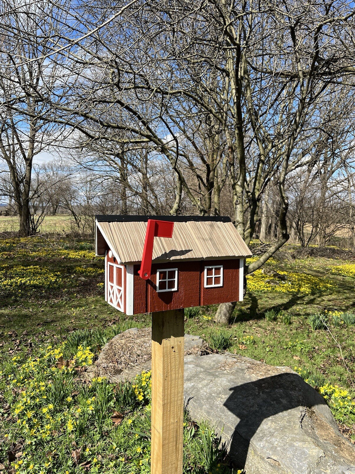 Picture 2 of 5