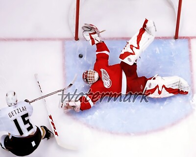 Detroit Red Wings Goalie Dominik Hasek Game Action Color 8 X 10 Photo Picture